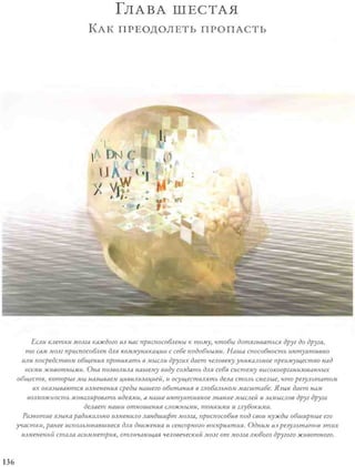 Rita karter kak_rabotaet_mozg