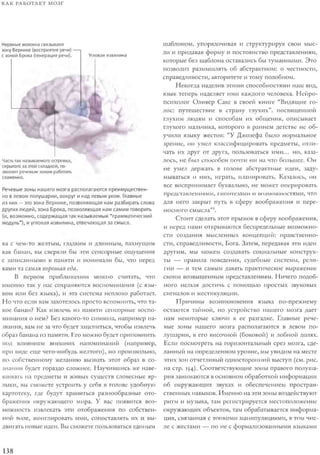 Rita karter kak_rabotaet_mozg