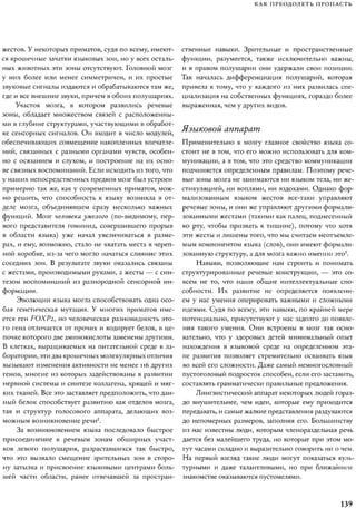 Rita karter kak_rabotaet_mozg