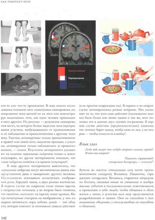 Rita karter kak_rabotaet_mozg