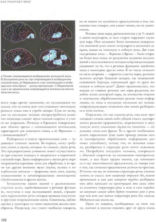 Rita karter kak_rabotaet_mozg