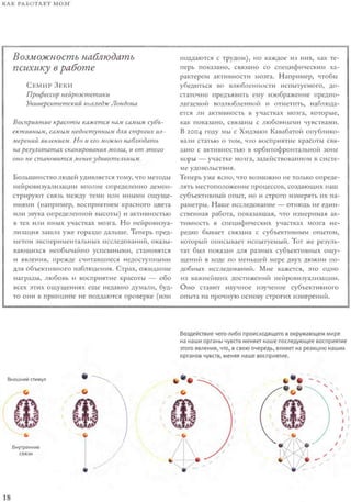 Rita karter kak_rabotaet_mozg