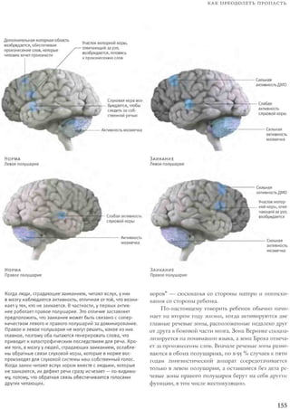 Rita karter kak_rabotaet_mozg
