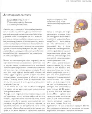 Rita karter kak_rabotaet_mozg