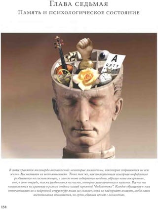 Rita karter kak_rabotaet_mozg