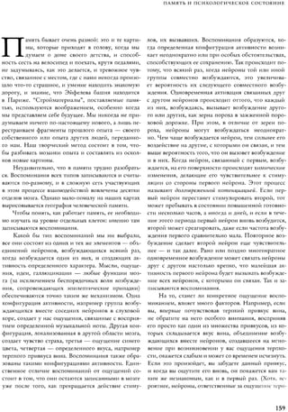 Rita karter kak_rabotaet_mozg