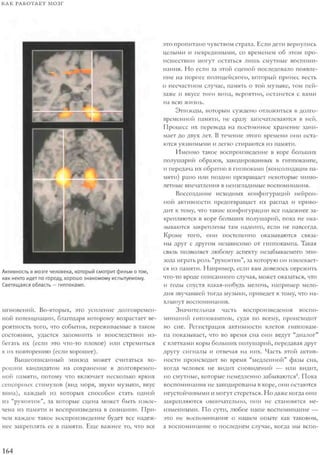 Rita karter kak_rabotaet_mozg