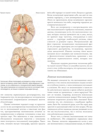 Rita karter kak_rabotaet_mozg