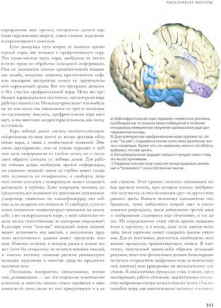 Rita karter kak_rabotaet_mozg