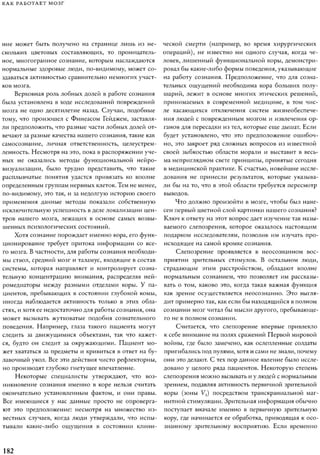 Rita karter kak_rabotaet_mozg