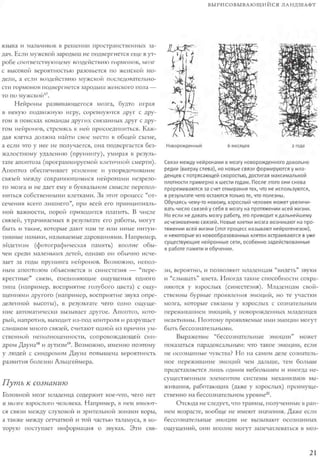 Rita karter kak_rabotaet_mozg