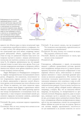Rita karter kak_rabotaet_mozg