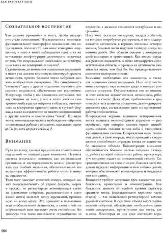 Rita karter kak_rabotaet_mozg