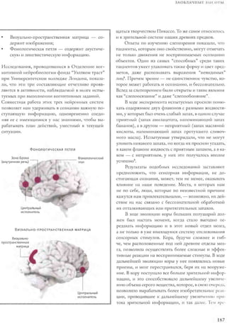 Rita karter kak_rabotaet_mozg