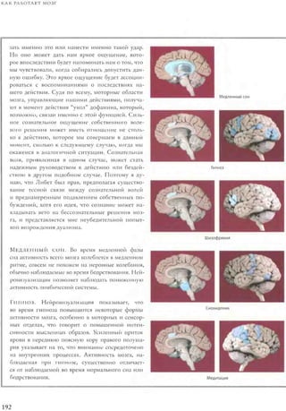 Rita karter kak_rabotaet_mozg