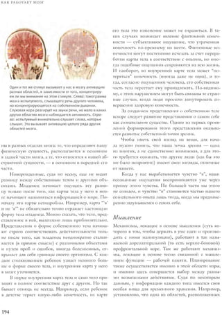 Rita karter kak_rabotaet_mozg