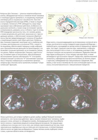 Rita karter kak_rabotaet_mozg