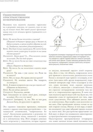 Rita karter kak_rabotaet_mozg