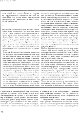 Rita karter kak_rabotaet_mozg