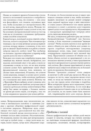 Rita karter kak_rabotaet_mozg