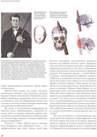 Rita karter kak_rabotaet_mozg