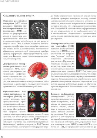 Rita karter kak_rabotaet_mozg