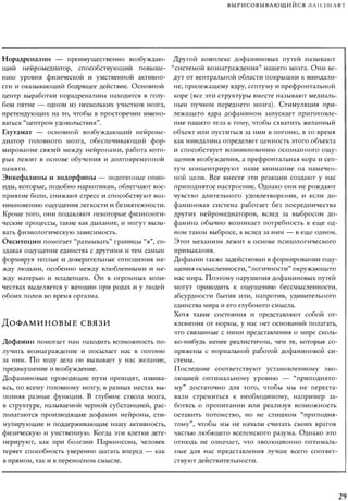 Rita karter kak_rabotaet_mozg