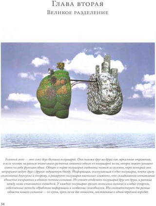 Rita karter kak_rabotaet_mozg