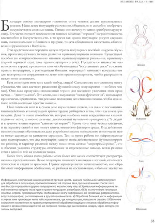 Rita karter kak_rabotaet_mozg