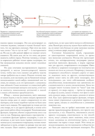 Rita karter kak_rabotaet_mozg