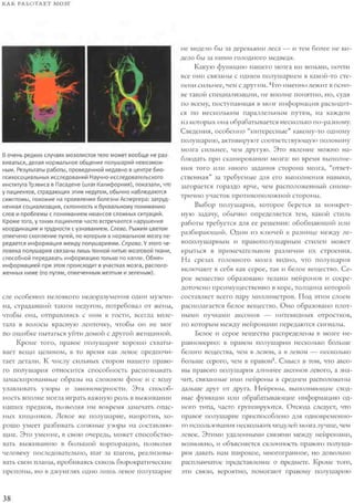 Rita karter kak_rabotaet_mozg