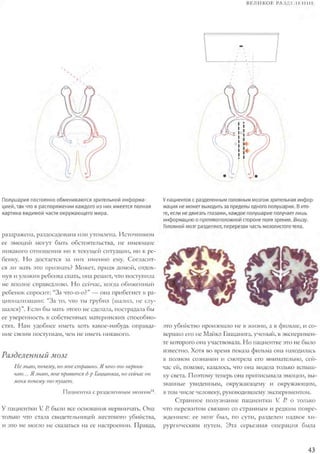 Rita karter kak_rabotaet_mozg