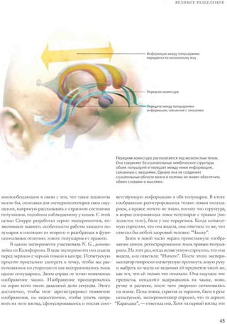 Rita karter kak_rabotaet_mozg