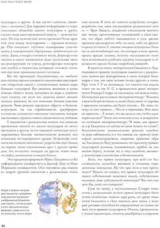 Rita karter kak_rabotaet_mozg