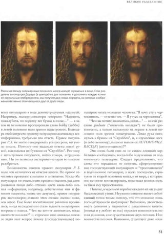 Rita karter kak_rabotaet_mozg