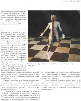 Rita karter kak_rabotaet_mozg