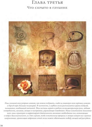 Rita karter kak_rabotaet_mozg