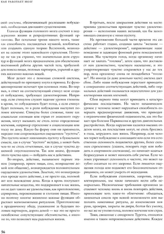 Rita karter kak_rabotaet_mozg