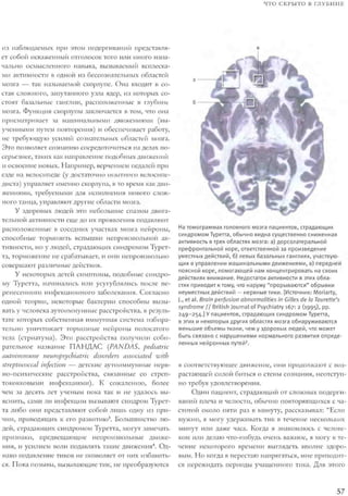 Rita karter kak_rabotaet_mozg