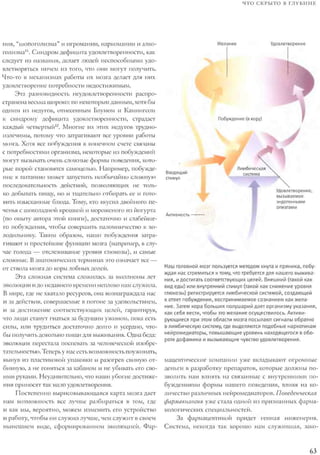 Rita karter kak_rabotaet_mozg