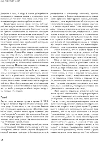 Rita karter kak_rabotaet_mozg