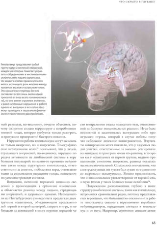 Rita karter kak_rabotaet_mozg