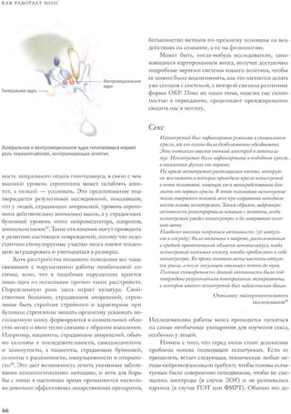Rita karter kak_rabotaet_mozg