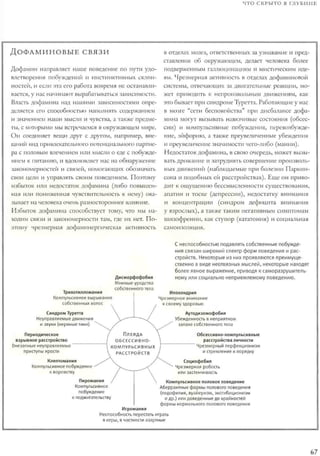 Rita karter kak_rabotaet_mozg