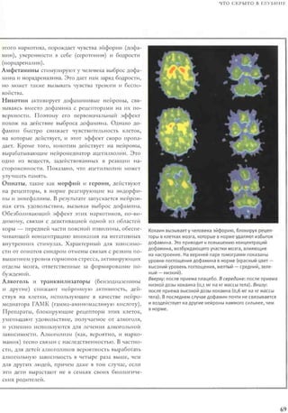 Rita karter kak_rabotaet_mozg