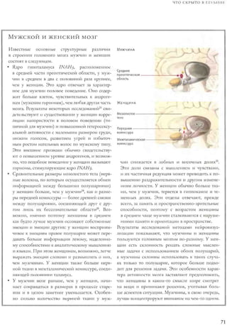 Rita karter kak_rabotaet_mozg