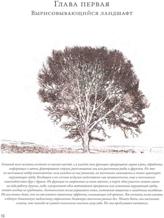 Rita karter kak_rabotaet_mozg