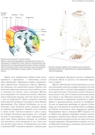 Rita karter kak_rabotaet_mozg