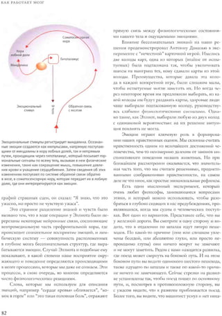 Rita karter kak_rabotaet_mozg