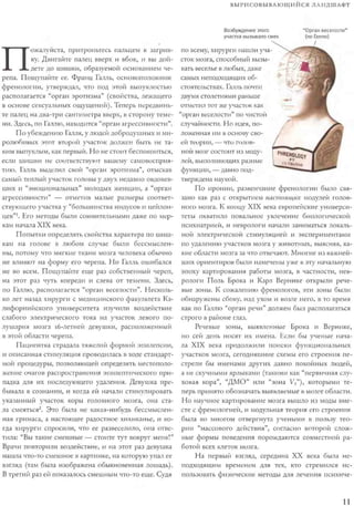 Rita karter kak_rabotaet_mozg